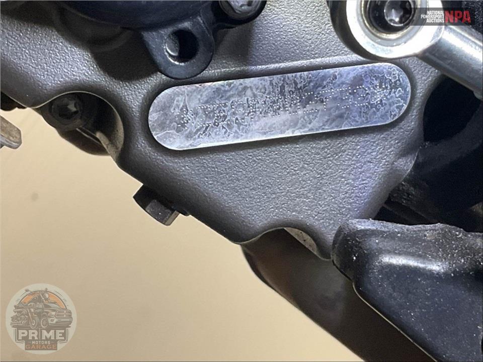 2024 Harley-Davidson RA1250S PAN AMERICA SPECIAL — фото 10
