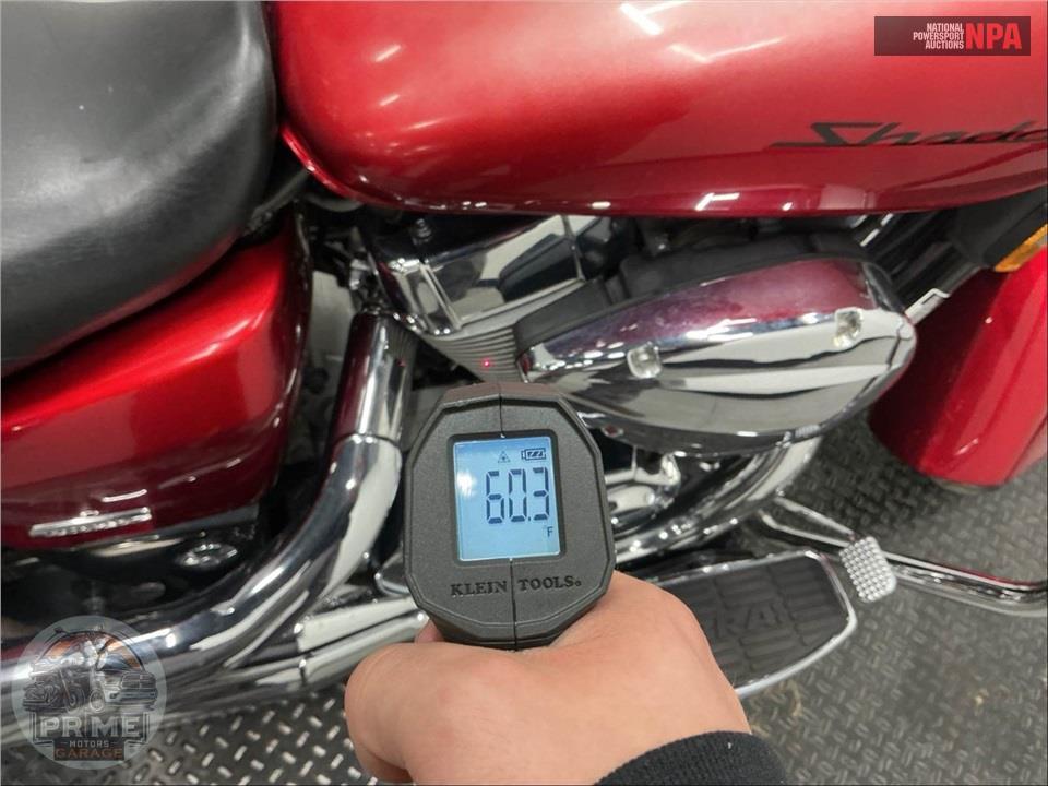2008 Honda VT750C SHADOW AERO — фото 8