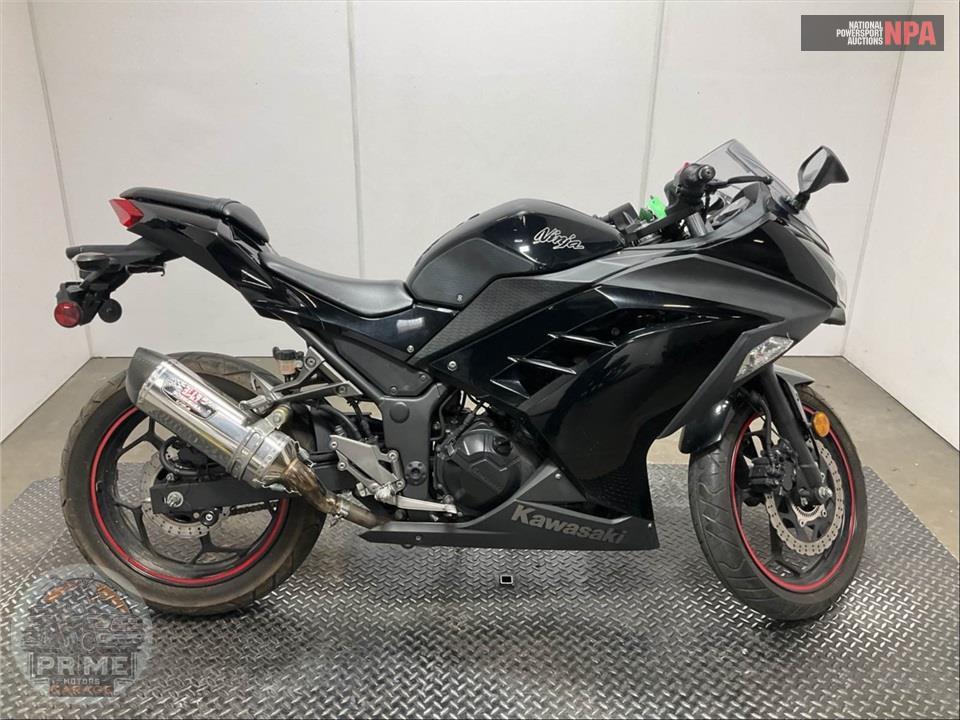 2014 Kawasaki EX300BEF NINJA 300 (ABS) SOLID — фото 1