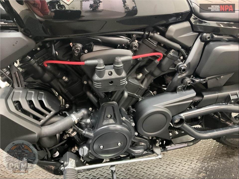 2025 Harley-Davidson RH1250S SPORTSTER S — фото 7