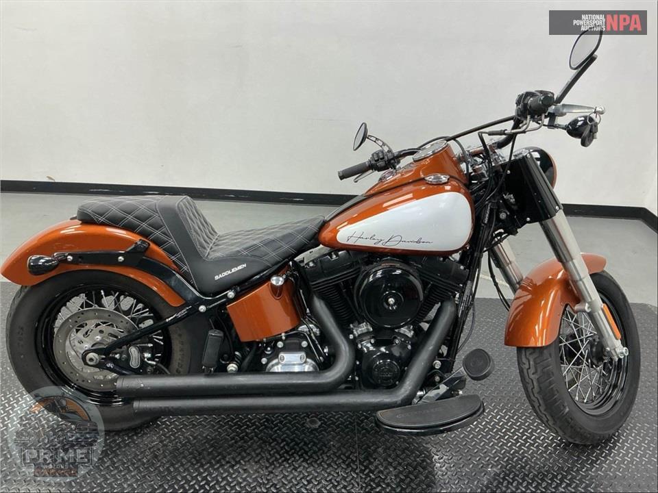 2015 Harley-Davidson FLS SOFTAIL SLIM — фото 1