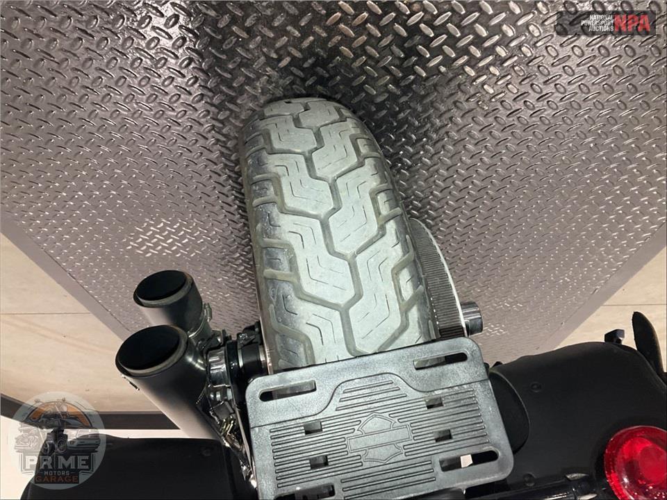 2013 Harley-Davidson FLS SOFTAIL SLIM — фото 21