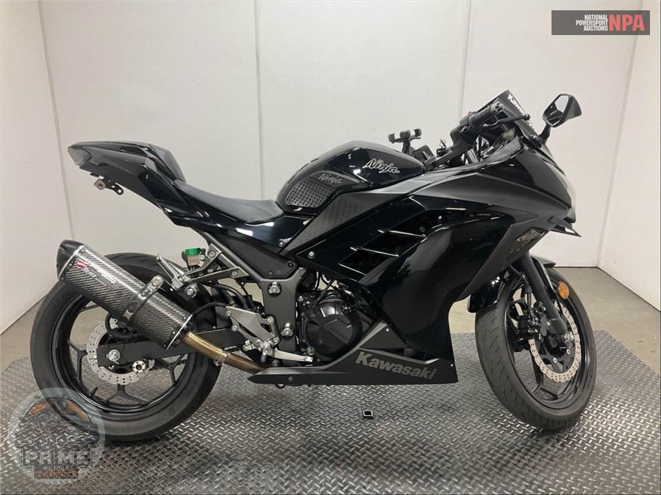 2014 Kawasaki EX300AES NINJA 300 SOLID — фото 1