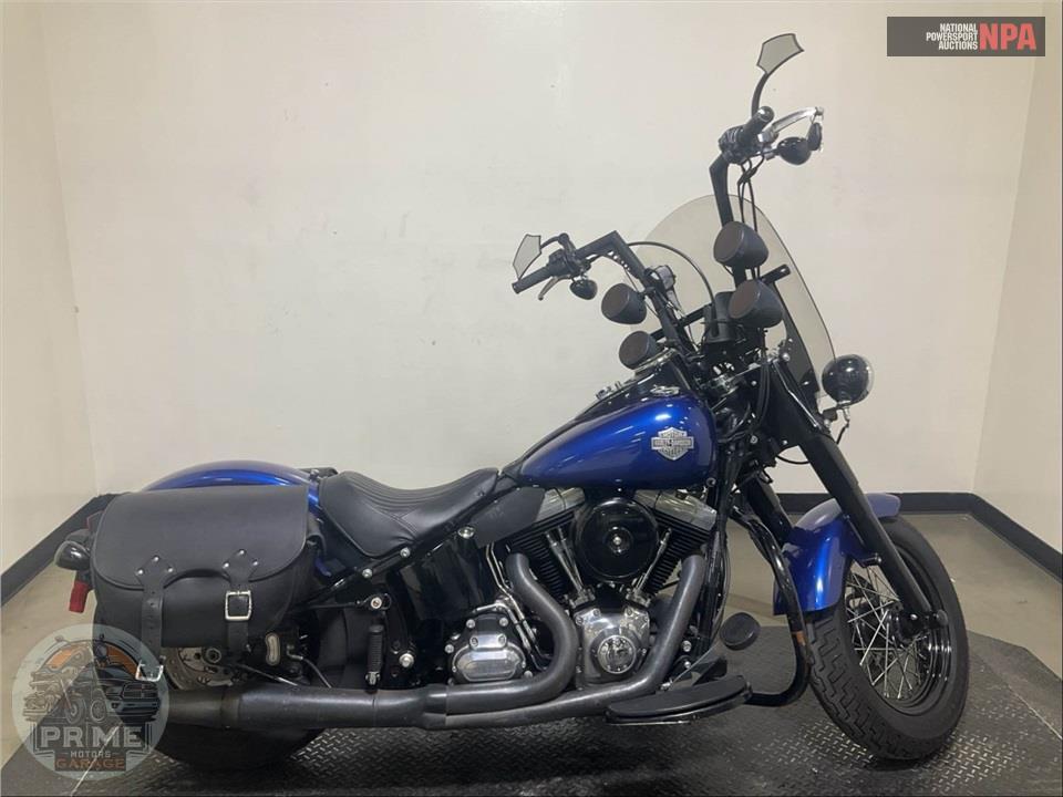 2015 Harley-Davidson FLS SOFTAIL SLIM — фото 1
