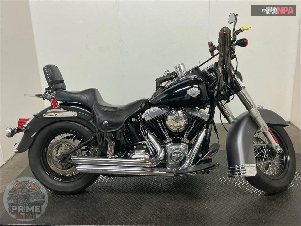 2015 Harley-Davidson FLS SOFTAIL SLIM — фото 1