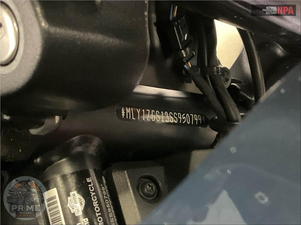 2025 Harley-Davidson RA1250SE CVO PAN AMERICA — фото 21