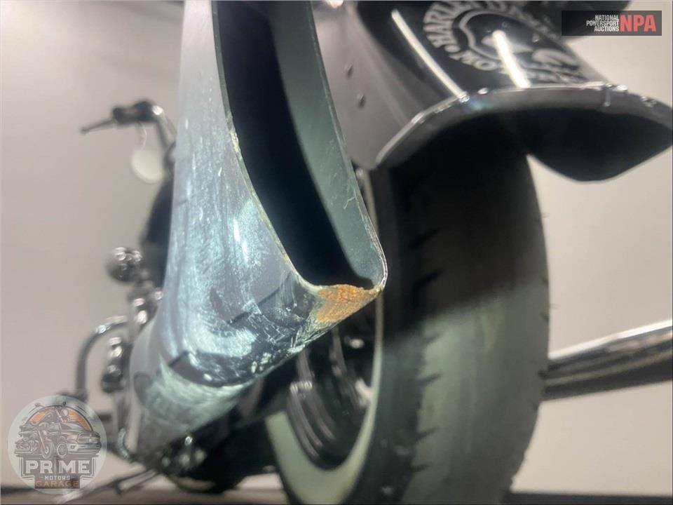 2010 Harley-Davidson FLSTN SOFTAIL DELUXE — фото 28