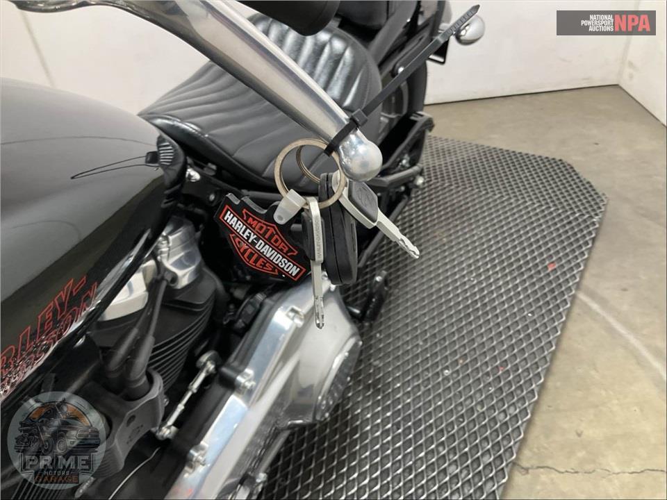 2024 Harley-Davidson FXST SOFTAIL STANDARD — фото 11