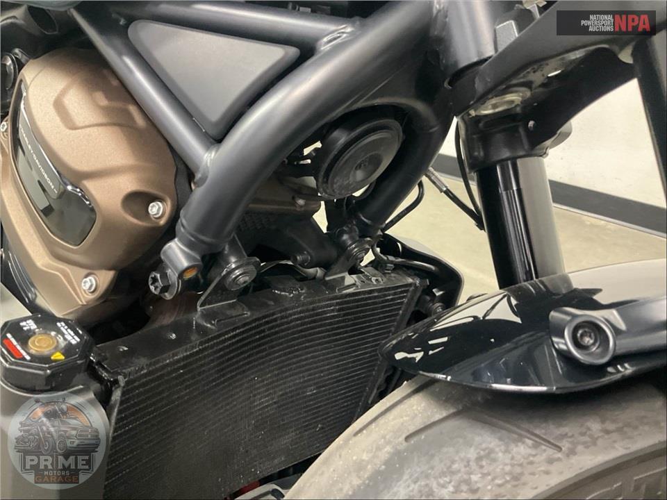 2024 Harley-Davidson RH1250S SPORTSTER S — фото 11