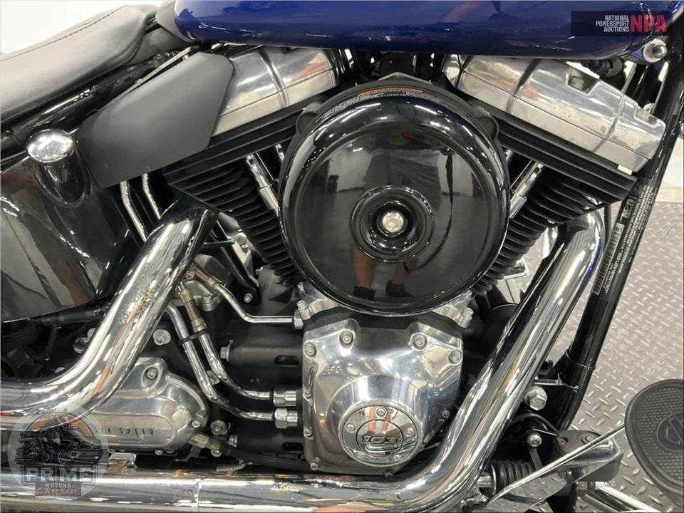 2015 Harley-Davidson FLS SOFTAIL SLIM — фото 6