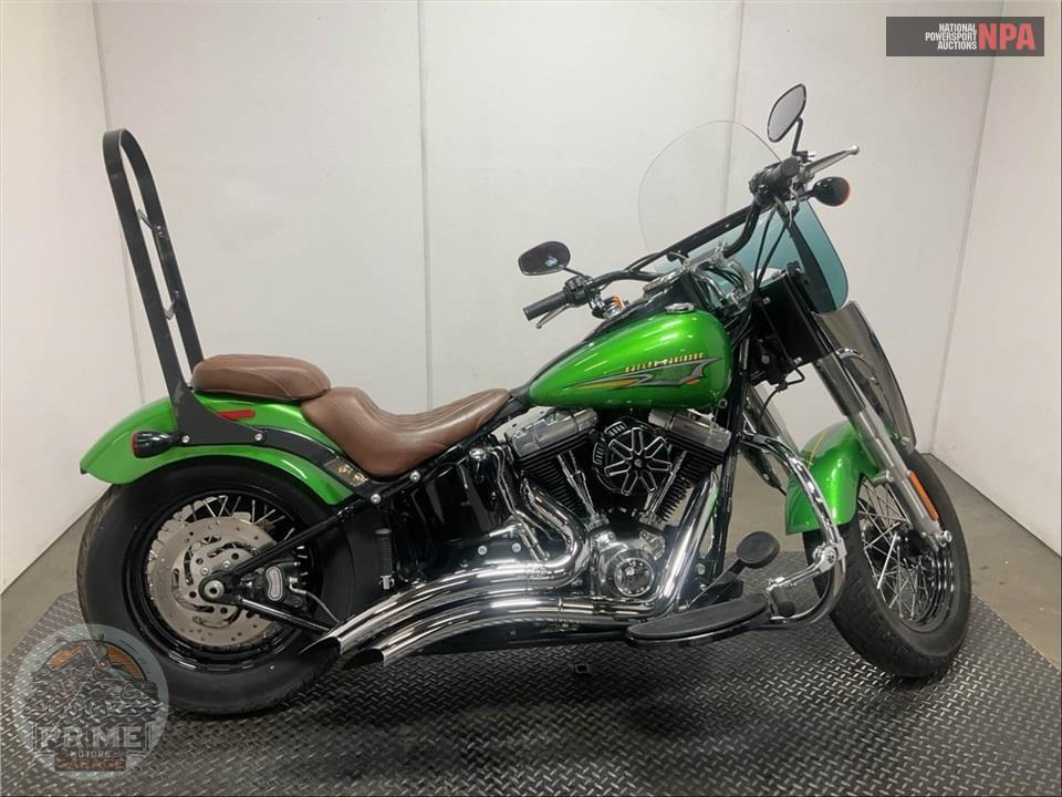 2015 Harley-Davidson FLS SOFTAIL SLIM — фото 1