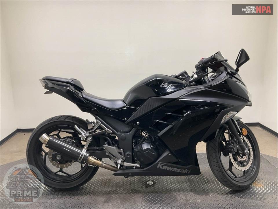 2014 Kawasaki EX300BEF NINJA 300 (ABS) SOLID — фото 1