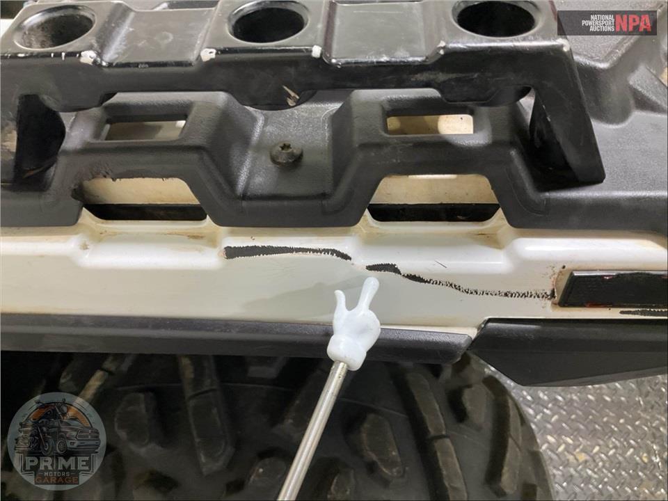 2019 Polaris SPORTSMAN 850 SP WHITE LIGHTNING — фото 20