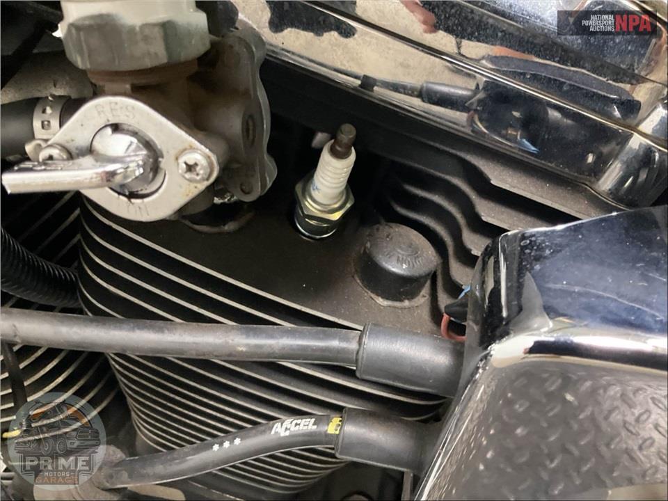 1996 Harley-Davidson FXSTC SOFTAIL(SOLID) — фото 12