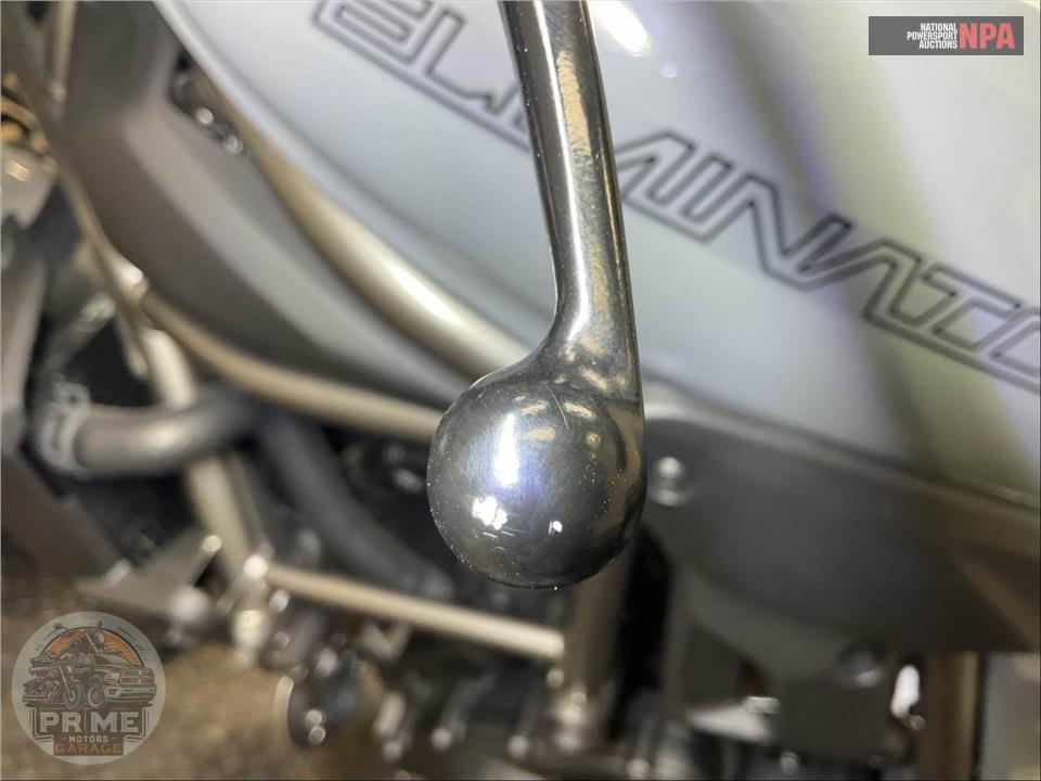 2024 Kawasaki ELIMINATOR — фото 19