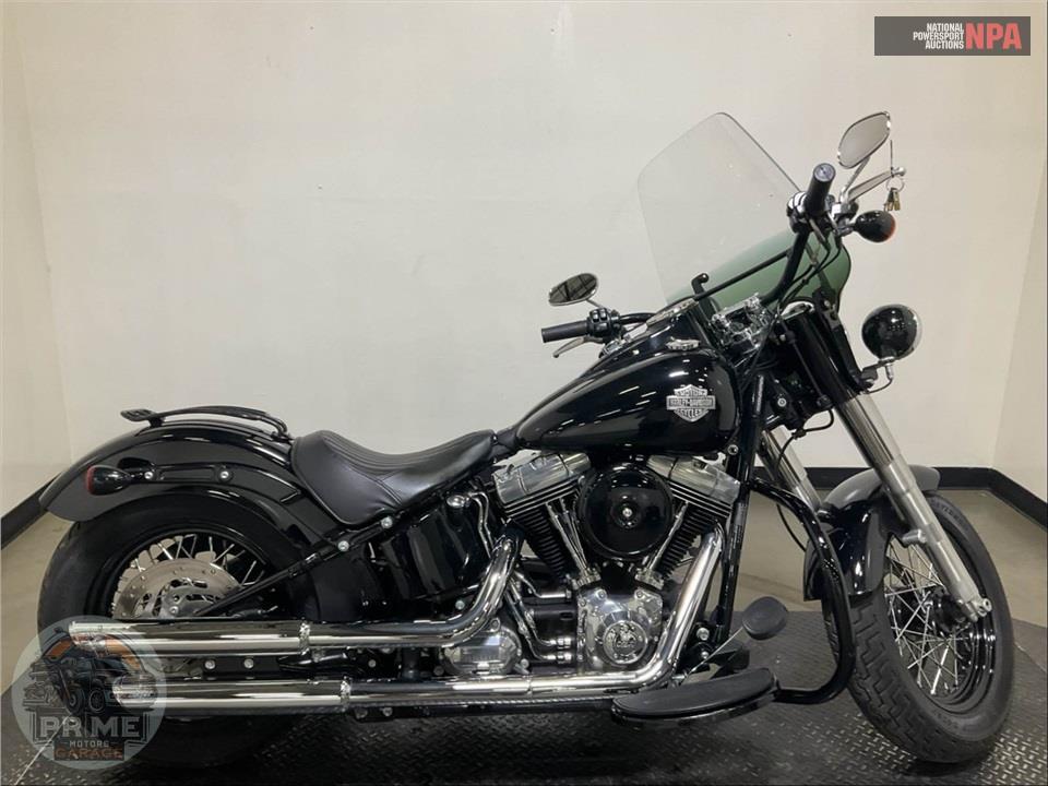 2015 Harley-Davidson FLS SOFTAIL SLIM — фото 1