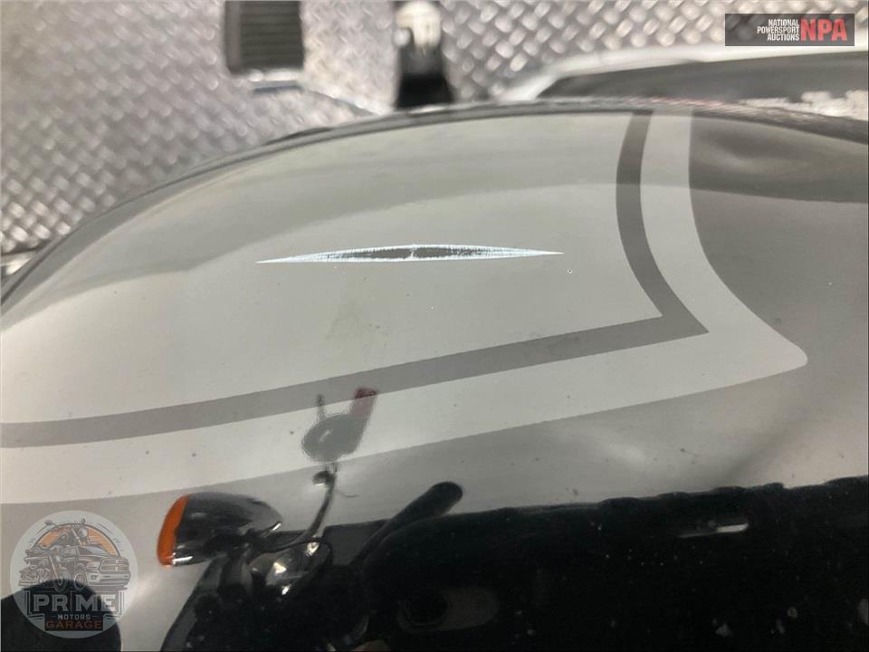 2021 Harley-Davidson FLSB SPORT GLIDE — фото 20