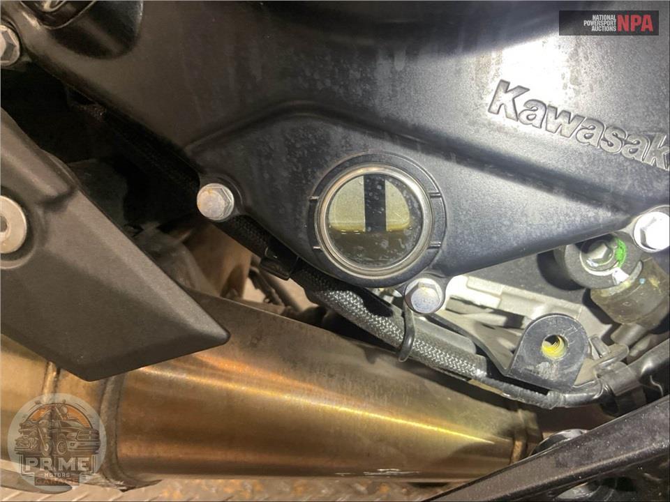 2025 Kawasaki EX650PSFAL NINJA 650 ABS — фото 9