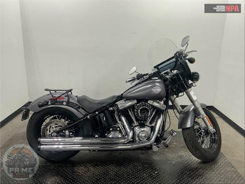 2015 Harley-Davidson FLS SOFTAIL SLIM — фото 1