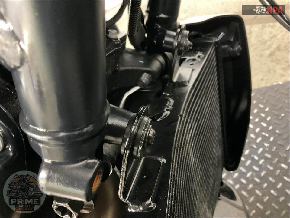 2025 Harley-Davidson RH1250S SPORTSTER S — фото 11