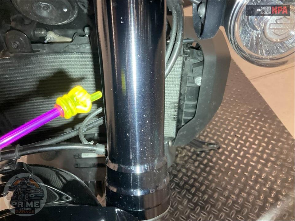 2025 Harley-Davidson RA1250ST PAN AMERICA 1250 ST — фото 28