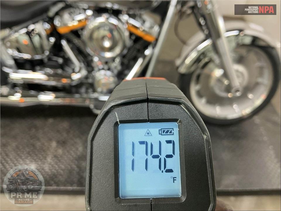 2025 Harley-Davidson FLSTFI SOFTAIL FAT BOY GRAY GHOST — фото 8