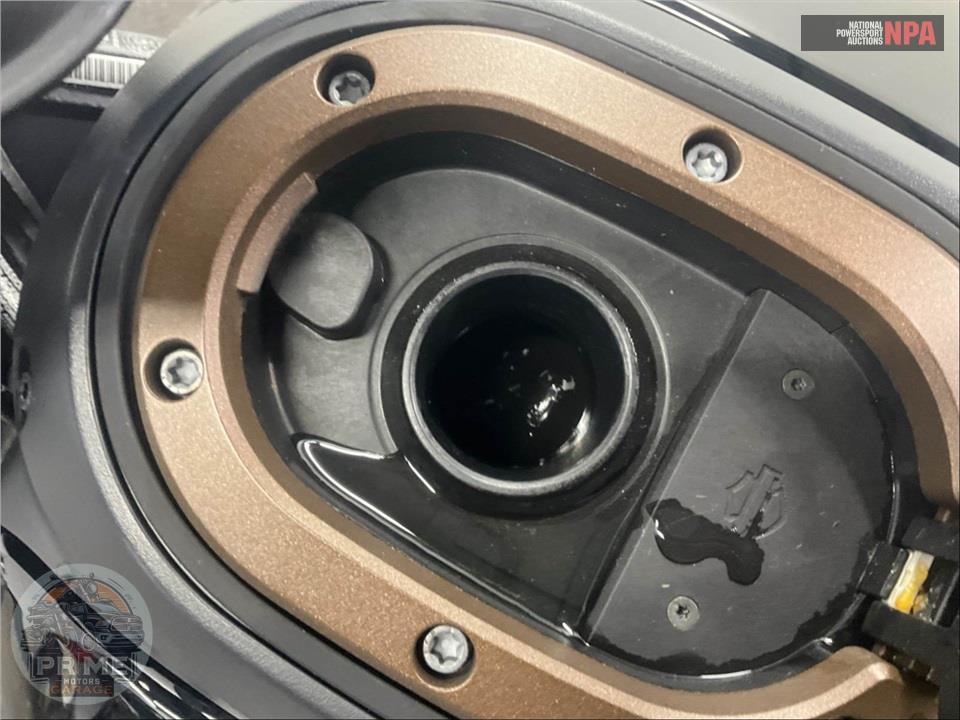 2022 Harley-Davidson RH1250S SPORTSTER S — фото 16