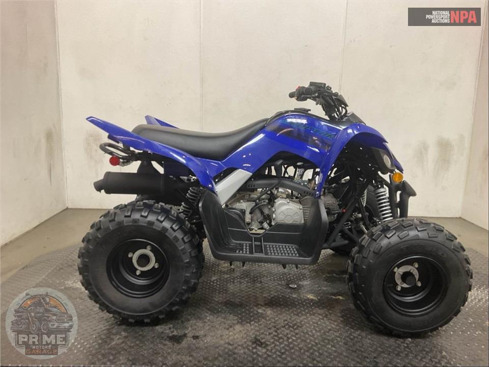 2025 Yamaha RAPTOR 110 — фото 1