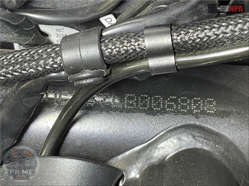 2020 Ducati MONSTER 821 STEALTH — фото 21