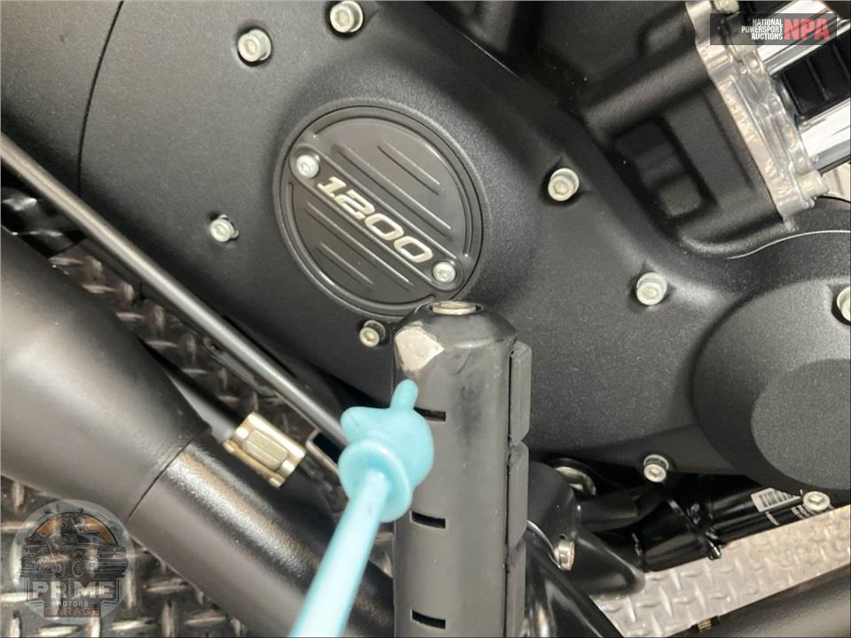 2021 Harley-Davidson XL1200NS IRON 1200 — фото 19