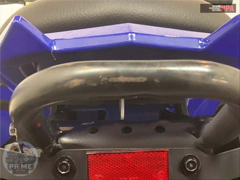 2025 Yamaha RAPTOR 110 — фото 10