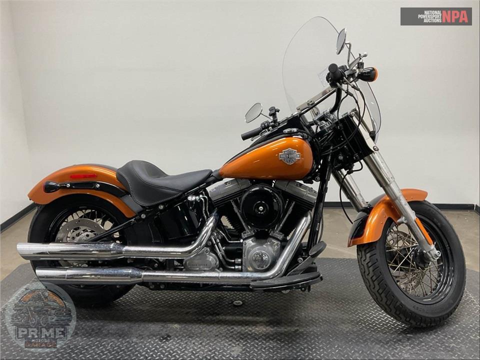 2015 Harley-Davidson FLS SOFTAIL SLIM — фото 1