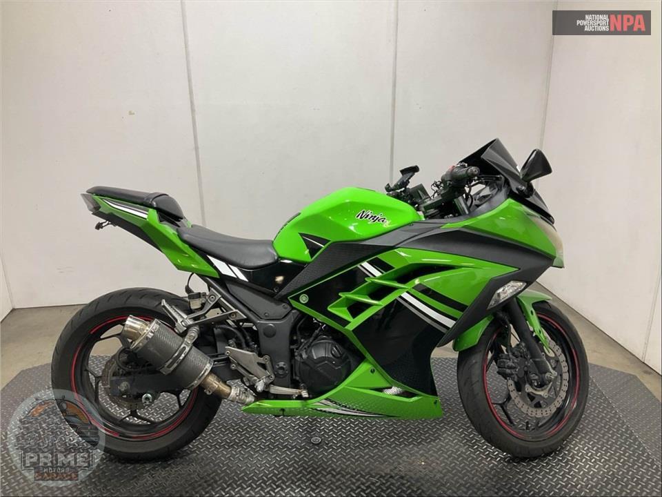 2014 Kawasaki EX300BEFA NINJA 300 (ABS) SPECIAL EDITION GRAPHICS — фото 1