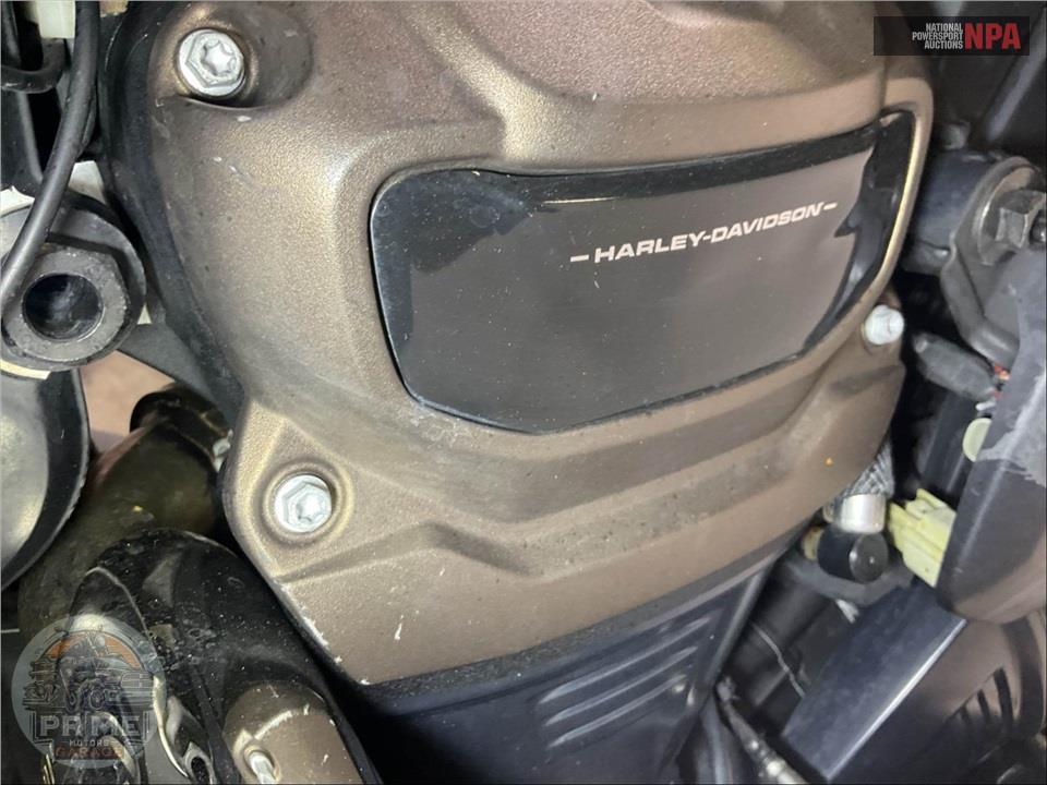 2022 Harley-Davidson RH1250S SPORTSTER S — фото 11