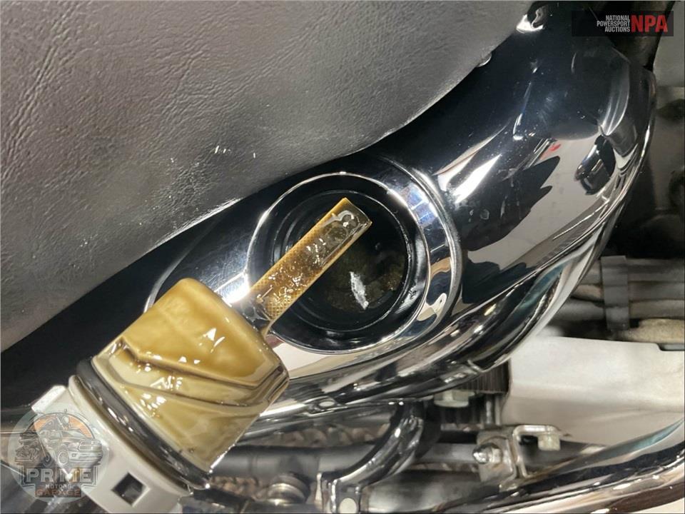 2006 Harley-Davidson XL883C — фото 8