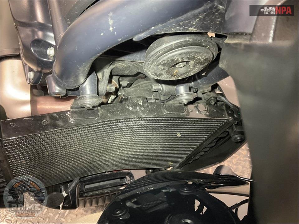 2025 Harley-Davidson RH1250S SPORTSTER S — фото 11