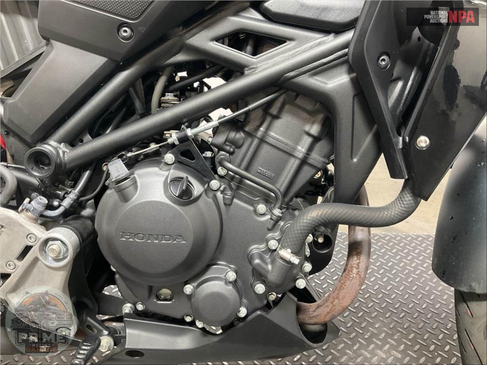 2025 Honda CBF300R (ABS) — фото 6