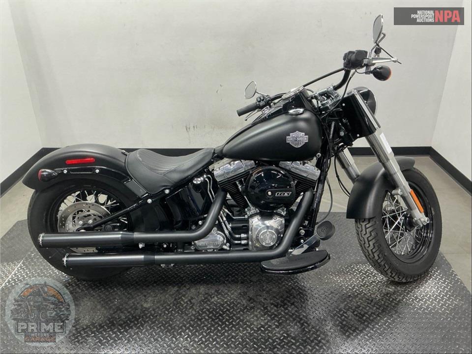 2016 Harley-Davidson FLS SOFTAIL SLIM — фото 1