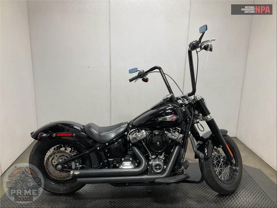 2021 Harley-Davidson FLSL SOFTAIL SLIM — фото 1