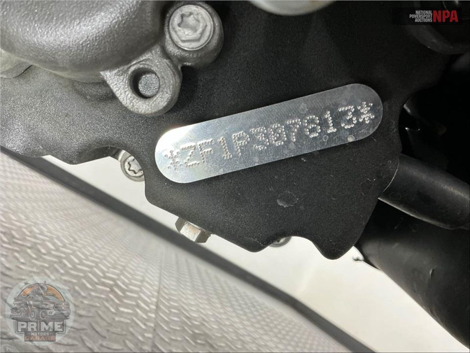 2023 Harley-Davidson RH975S NIGHTSTER SPECIAL — фото 26