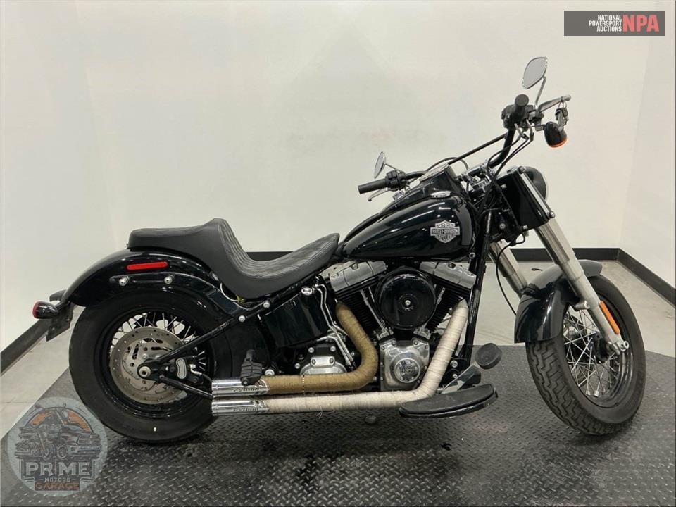 2014 Harley-Davidson FLS SOFTAIL SLIM — фото 1