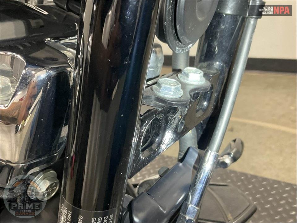 2018 Harley-Davidson FXBRS BREAKOUT 114 ANNIVERSARY — фото 11