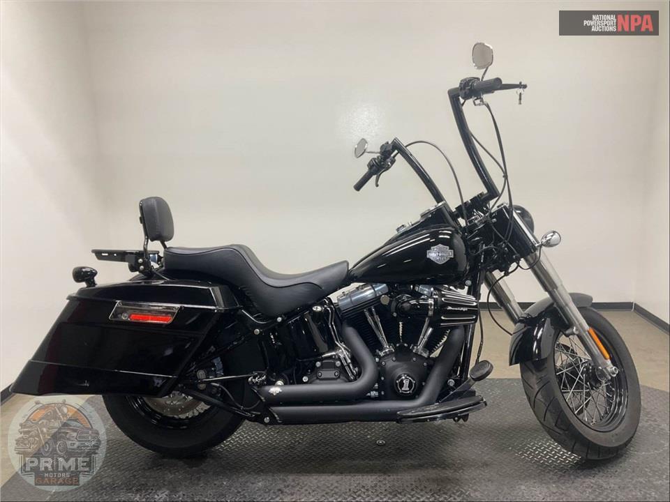 2015 Harley-Davidson FLS SOFTAIL SLIM — фото 1