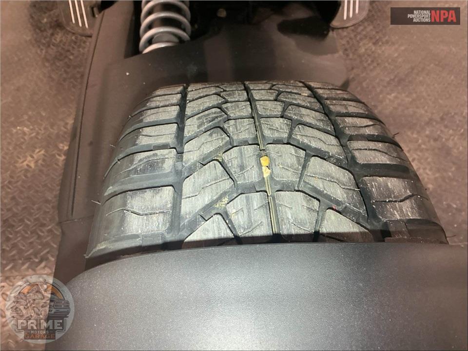 2020 Can-Am RYKER RALLY EDITION 900 ACE — фото 19