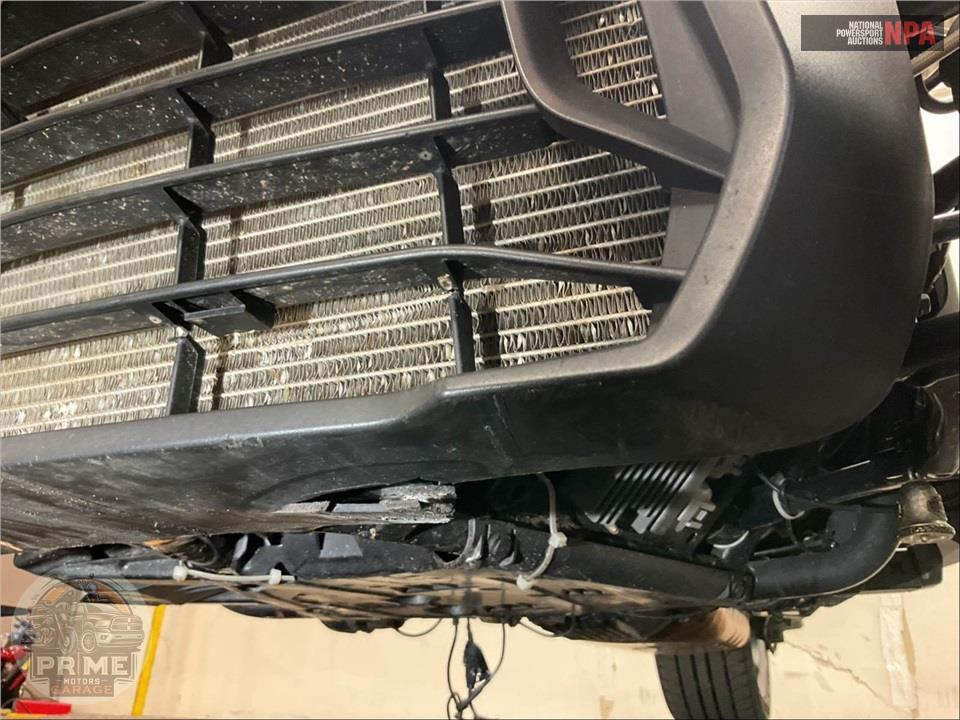 2019 Can-Am RYKER 600 ACE — фото 13