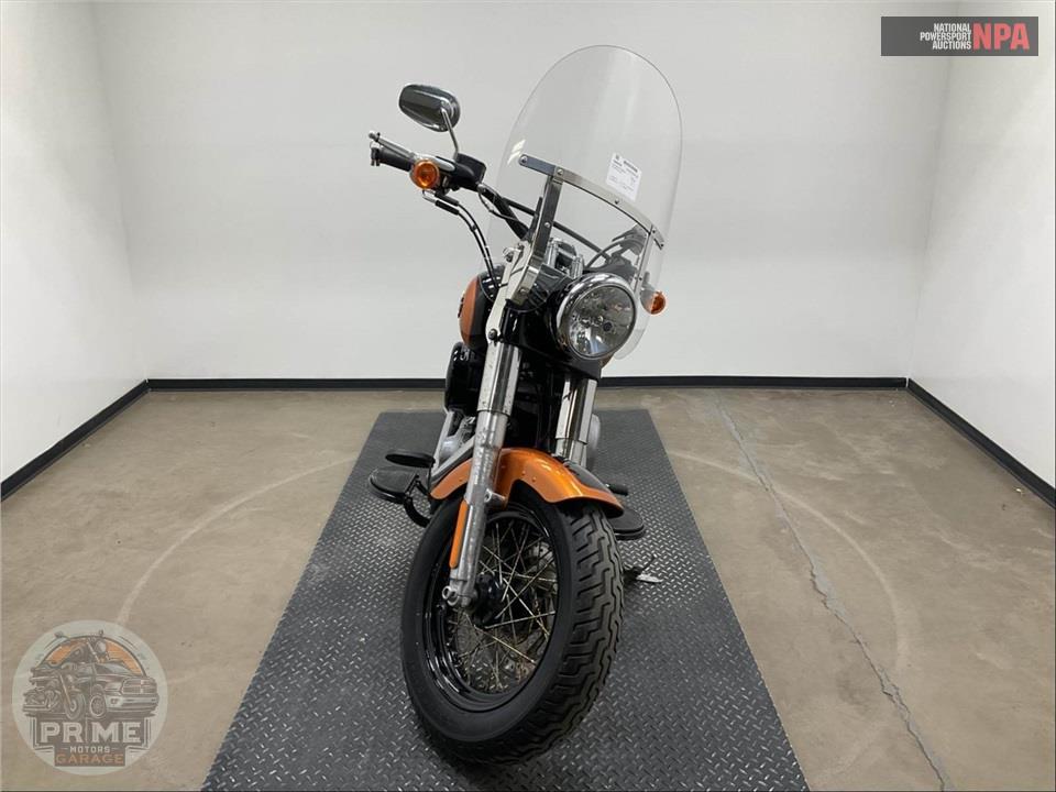 2015 Harley-Davidson FLS SOFTAIL SLIM — фото 2
