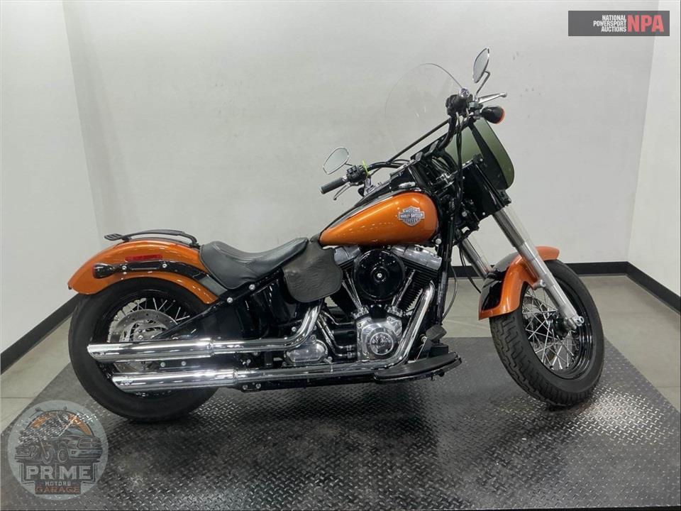 2015 Harley-Davidson FLS SOFTAIL SLIM — фото 1