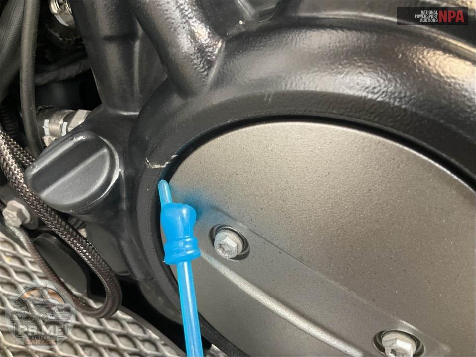 2022 Harley-Davidson RA1250S PAN AMERICA 1250 SPECIAL — фото 9