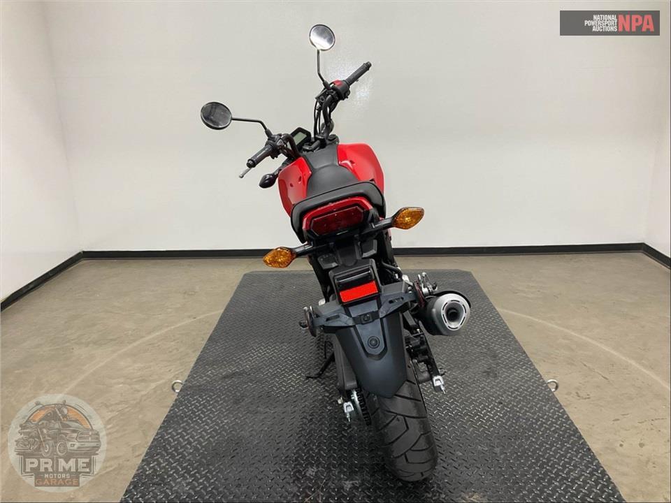 2025 Honda GROM — фото 4