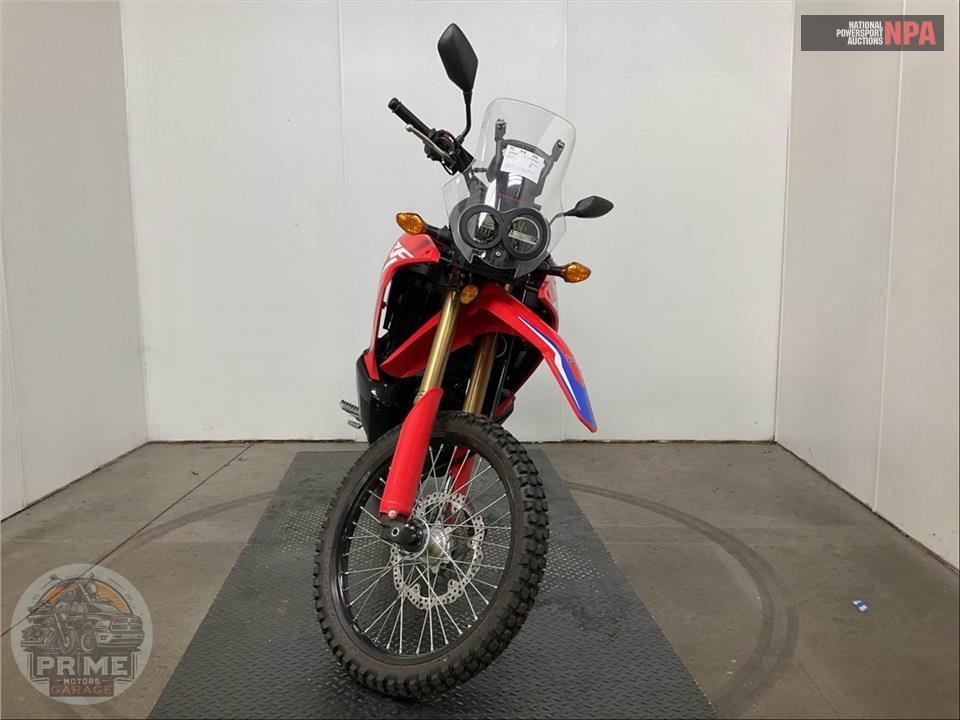 2024 Honda CRF300L RALLY — фото 2